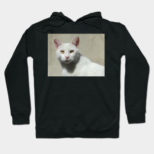 White Cat - Recoleta, Buenos Aires Hoodie